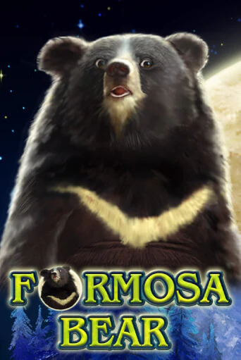 Бесплатная версия игры Formosa Bear | Champion Slots 