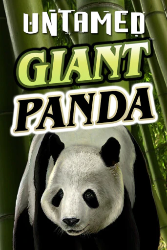 Бесплатная версия игры Untamed - Giant Panda | Champion Slots 