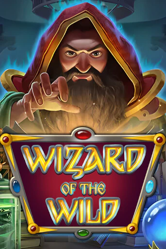 Бесплатная версия игры Wizard of the Wild | Champion Slots 